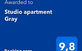 Studio apartment Gray